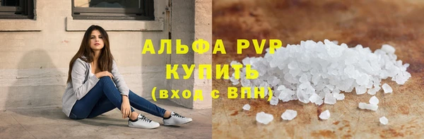 стаф Кинешма