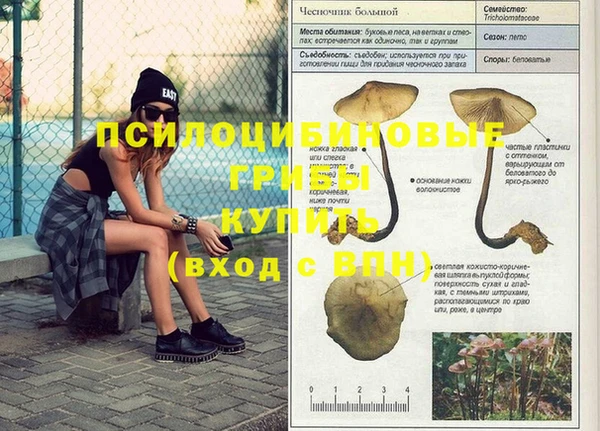 СК Киреевск