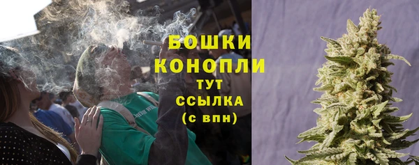 стаф Кинешма