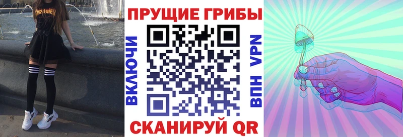 Купить где  Вольск  Галлюциногенные грибы Magic Shrooms 